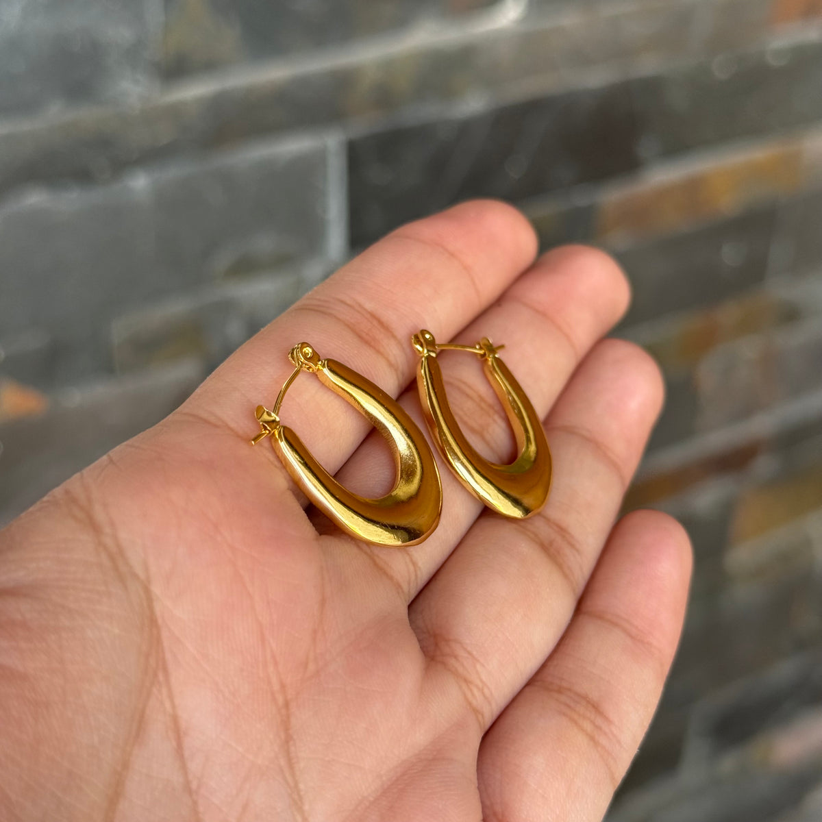 Horseshoe Everyday Hoops