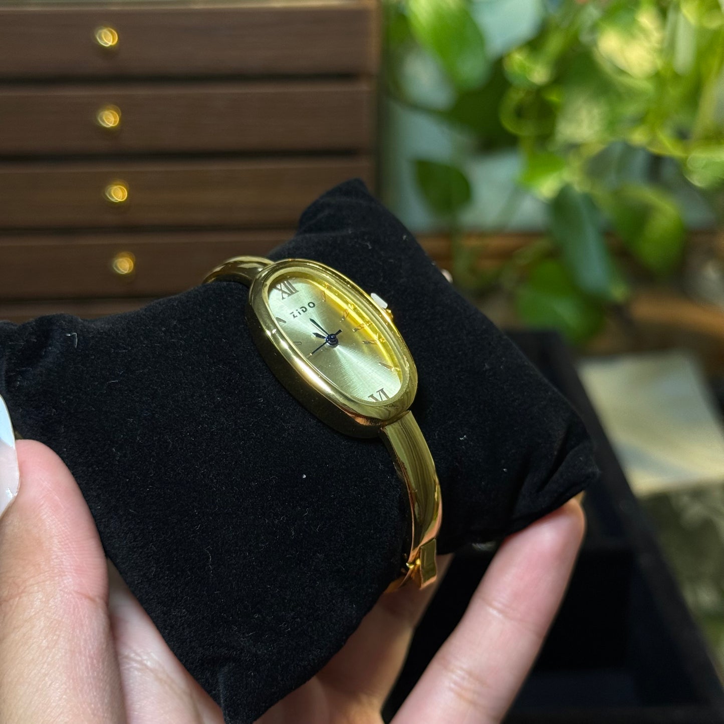 Lady Timeless Watch (Random Color Box Included)