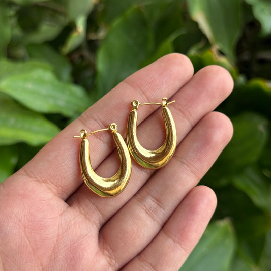 Horseshoe Everyday Hoops