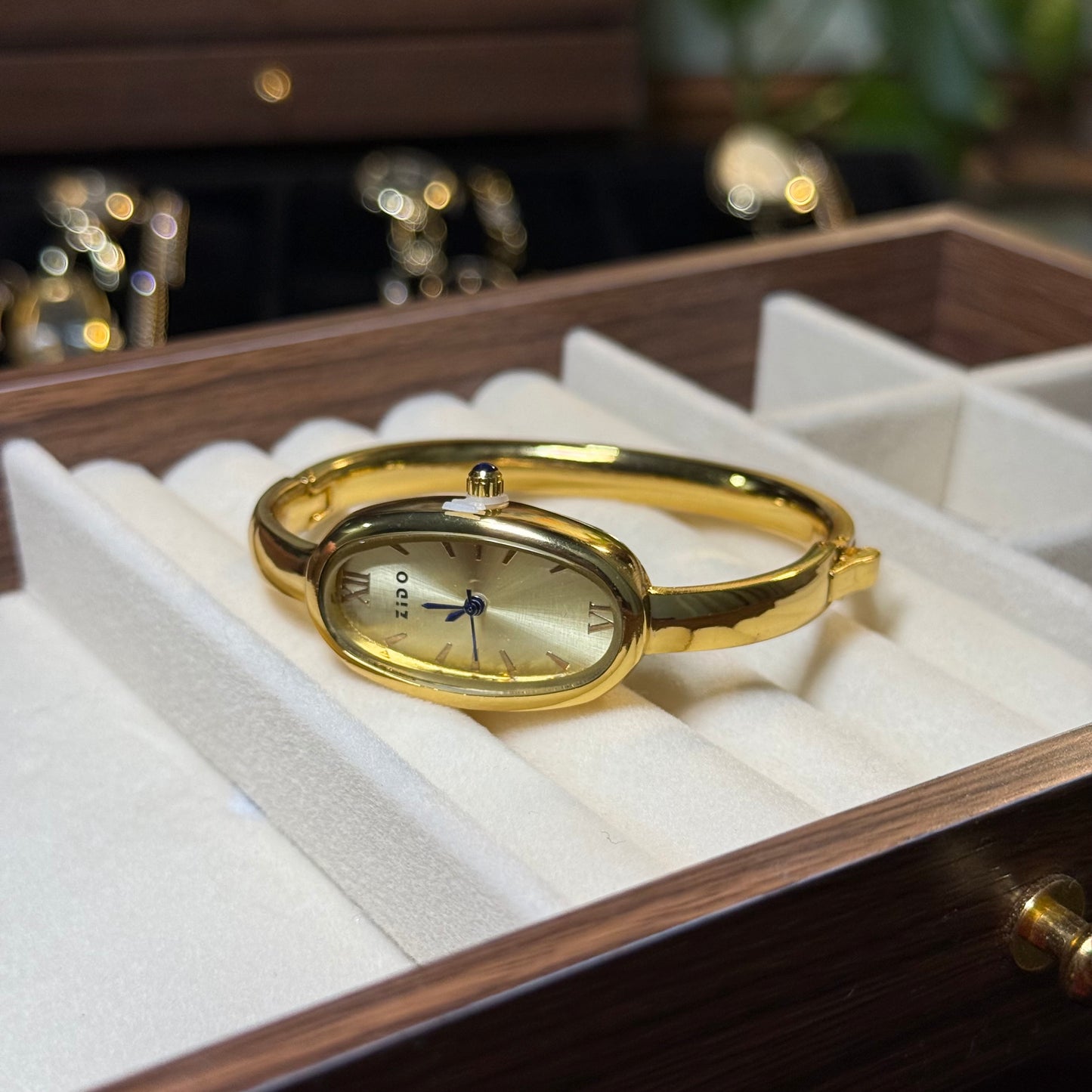Lady Timeless Watch (Random Color Box Included)