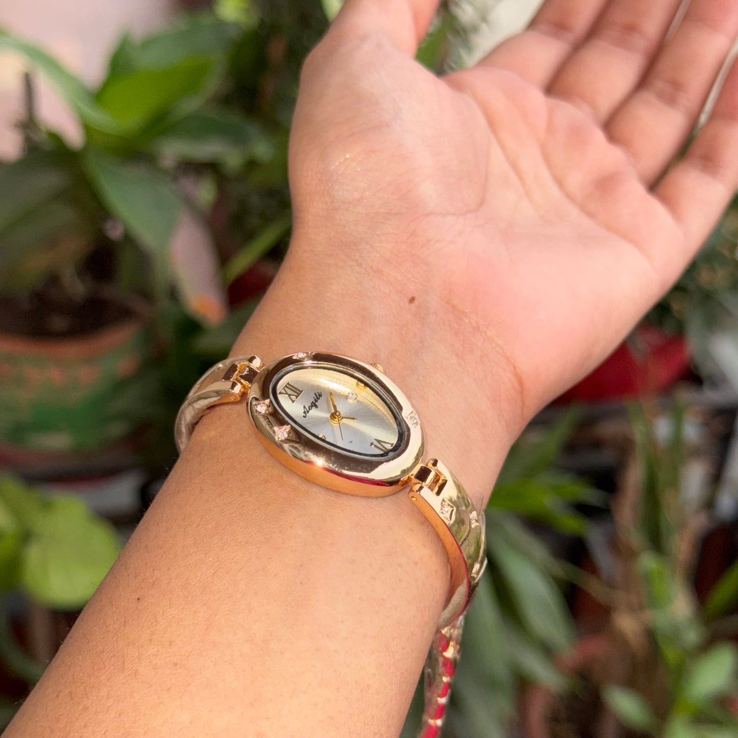 Classic Constellation Watch (Box Included)