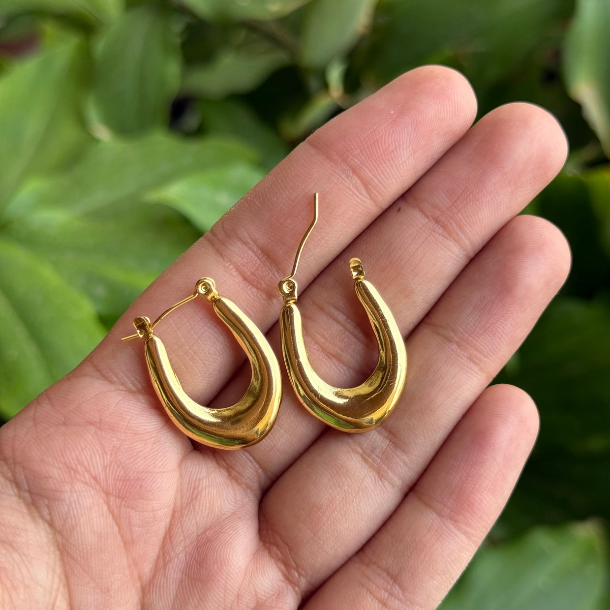 Horseshoe Everyday Hoops