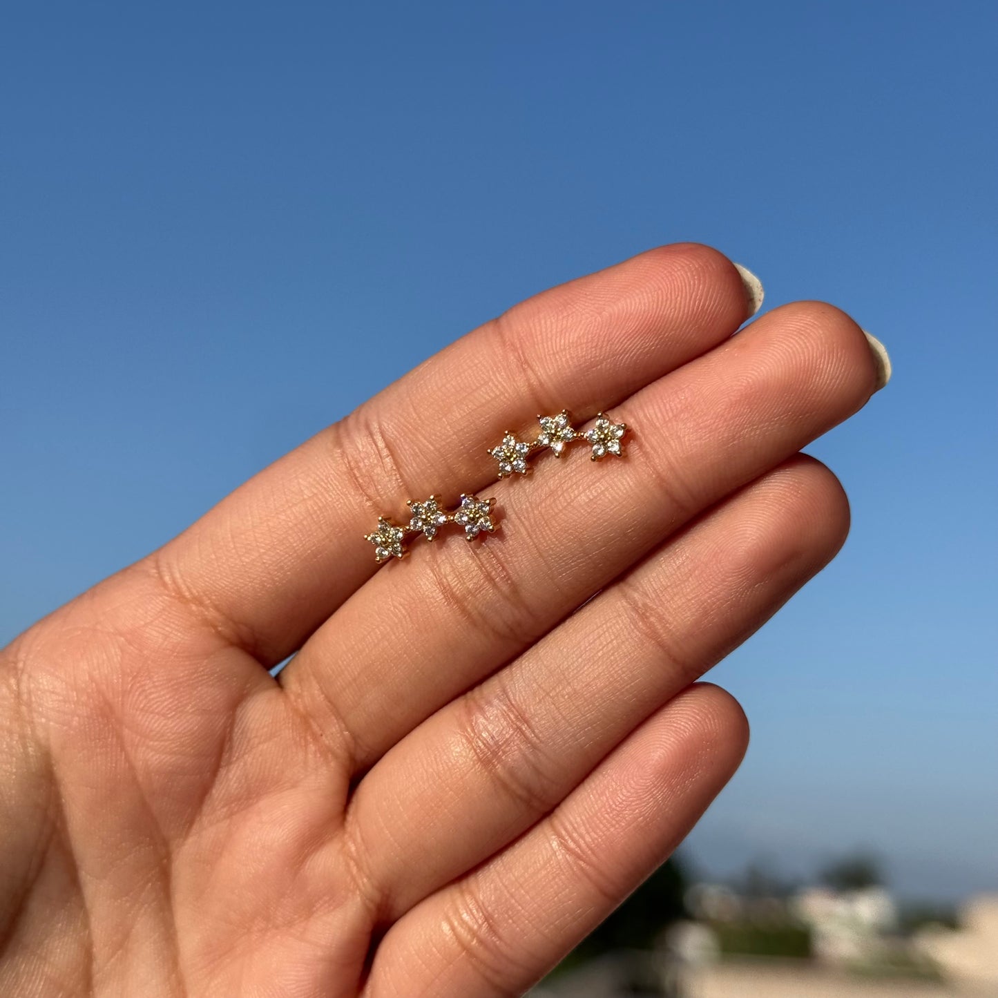 (Last Piece) Mini Meadow Cluster Studs